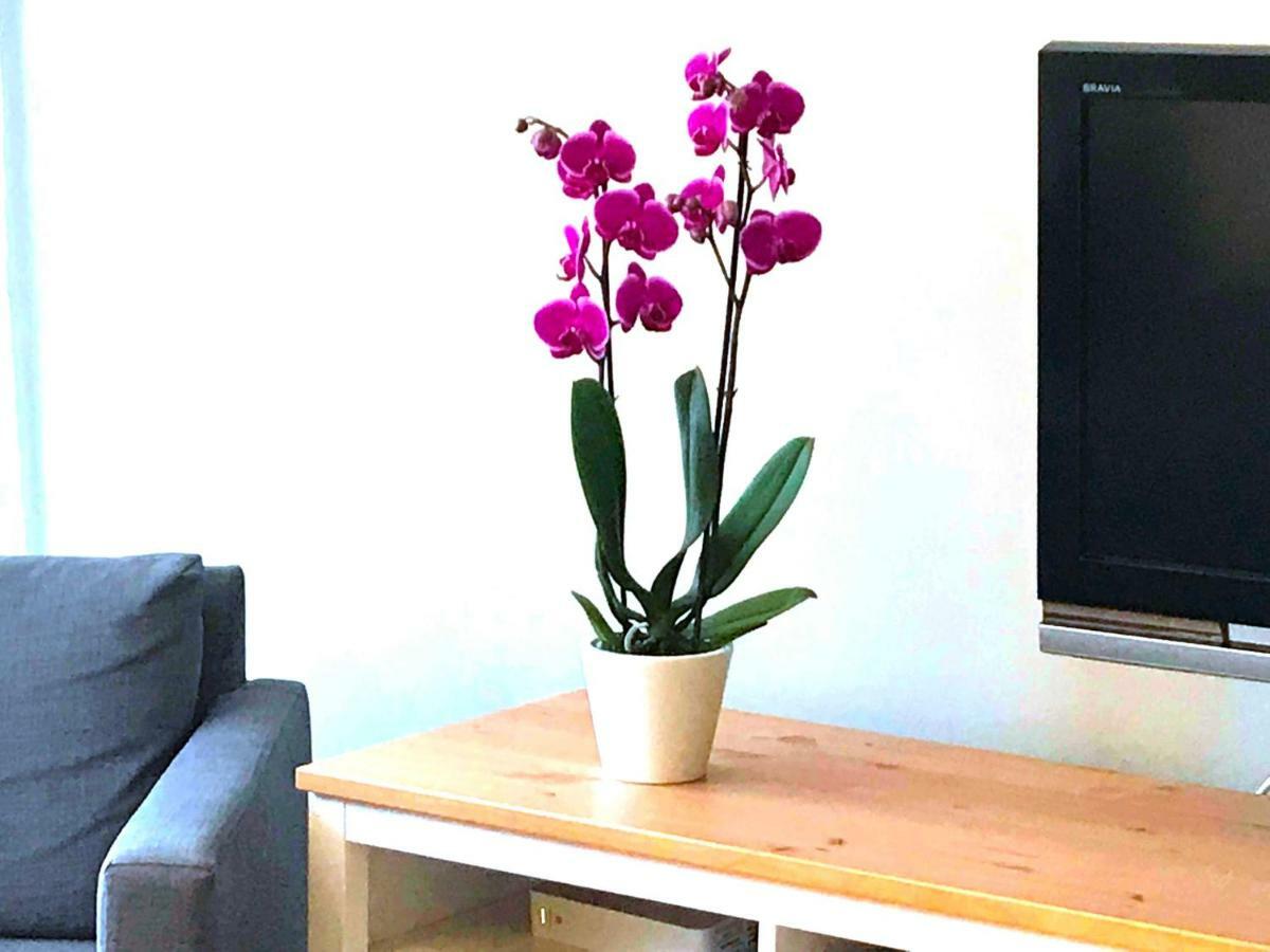 Sopot Apartment Екстериор снимка